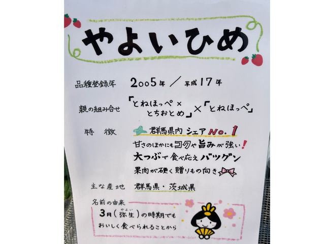 やよいひめ
群馬県の品種です。_しみずいちご園
