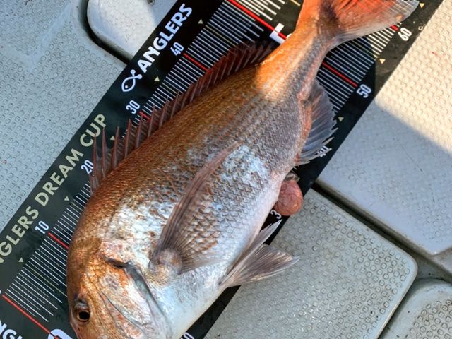 釣船 よいちょまる
