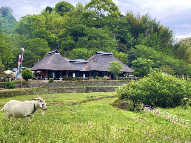 茅葺き屋根の男ノ子焼の里外観_男ノ子焼の里