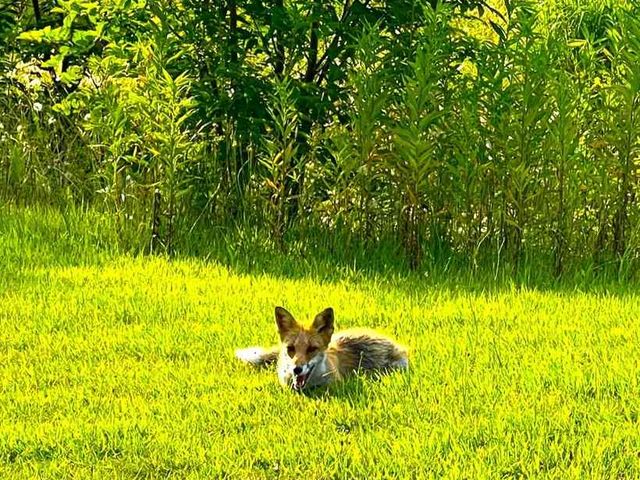 札幌滝野すずらんセグウェイツアー
