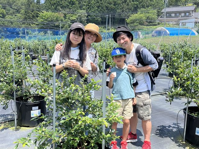 ブルーベリー狩りなら家族みんなで楽しめます!_ブルーベリー狩り農園Toyotaかけらぼ