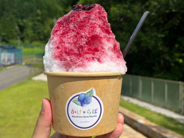 食べた人、全員おいしいと絶賛するふっわふっわブルーベリーかき氷。おいしさの秘密はマスカルポーネホイップ。_ブルーベリー狩り農園Toyotaかけらぼ