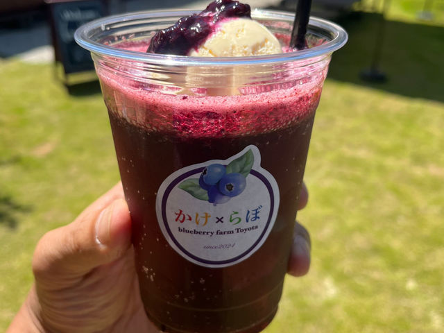 夏といえば、クリームソーダ!ブルーベリーのソーダ水の爽やかな喉ごしは暑い夏にぴったりです。_ブルーベリー狩り農園Toyotaかけらぼ