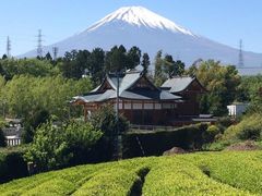 有限会社勝又製茶の写真1