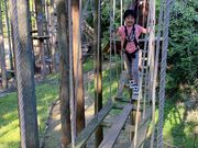 フォレストアドベンチャー・西条の写真4