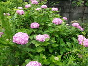 一般社団法人農を起点の写真3