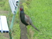 一般社団法人農を起点の写真4