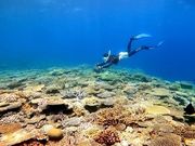 Diving Shop Naluの写真4