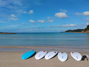 wagテイルの写真2