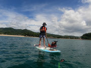 wagテイルの写真3