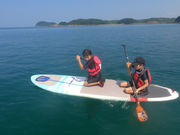 wagテイルの写真4