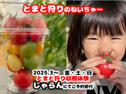 とまと狩りのネイチャーの写真3
