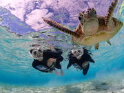 宮古blueまほろばの写真3