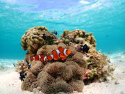 宮古blueまほろばの写真4