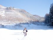 Little Japan ECHIGOの写真2