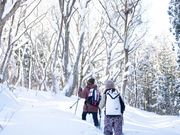 Little Japan ECHIGOの写真3