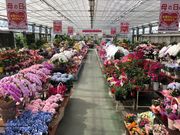 協同組合日本ライン花木センターの写真3