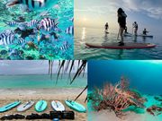 BlueQuest.OKINAWAの写真2