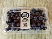 房総ブルーベリーくらぶの写真3