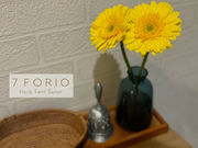7FORIOの写真4