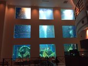 サニールールの写真2