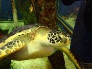 サニールールの写真3