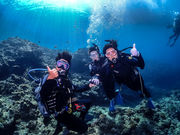 THE SEAの写真2
