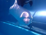 DIVINGSHOP eonoの写真4