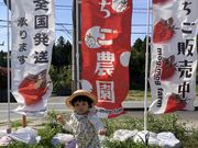mog-mog farmの写真4