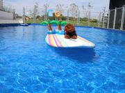 Dog pool village 富津海岸の写真2