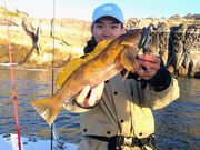 釣船 よいちょまるの写真3