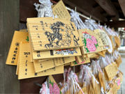 サムライ試し斬り体験(金蛇水神社神楽舞台)の写真3