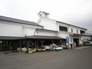 水引Ori-i 奏でるwaza展の写真2