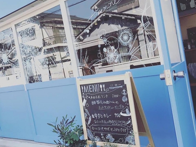 あねもねの写真1