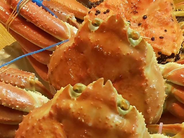 樂旬魚菜しげ 久世店の写真1