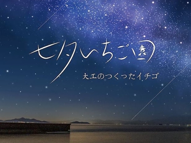 七夕いちごカフェの写真1
