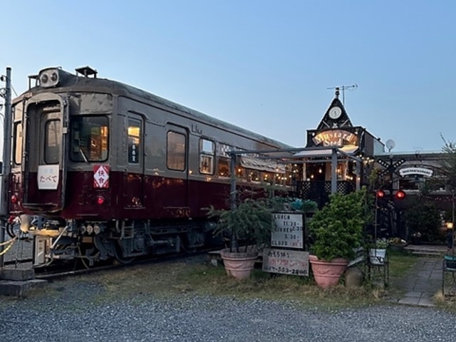 マスタードシード 電車食堂の写真1