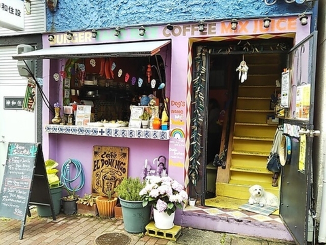 Cafe EL DOMINGO カフェエルドミンゴの写真1