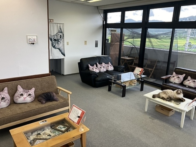 楽neko cafeの写真1