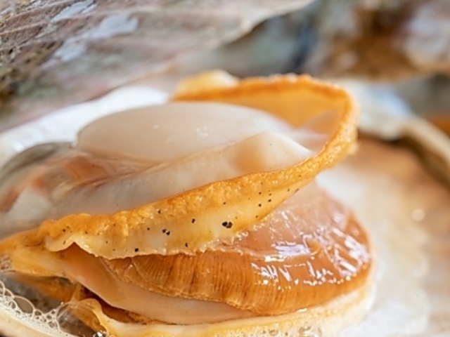 二代目七輪居酒屋 漁火の写真1