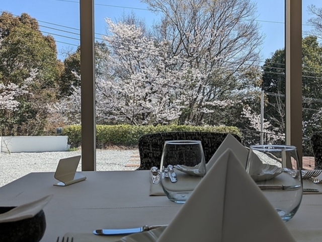 フランス料理店メディシスの写真1