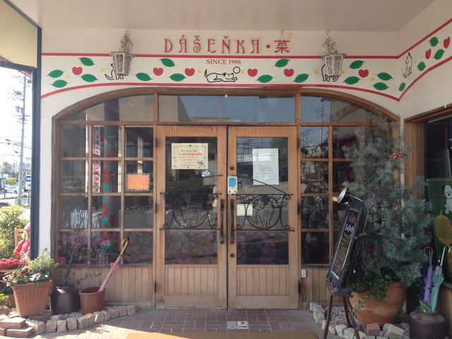 ダーシェンカ・菜 豊田店