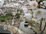 水面廻廊の写真1
