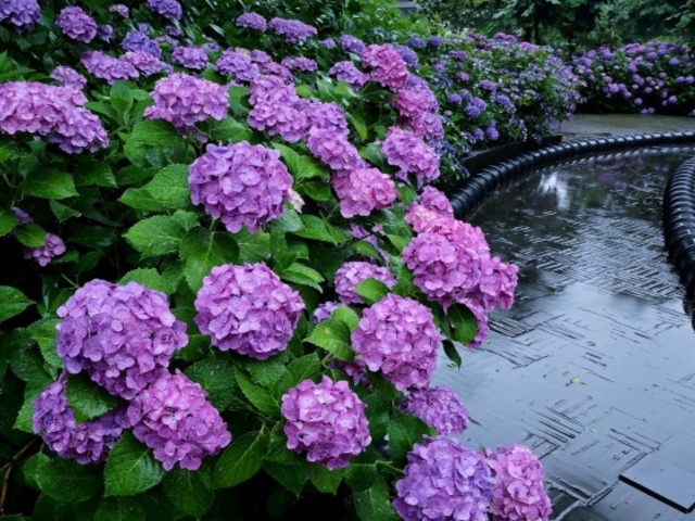 大塚性海寺歴史公園