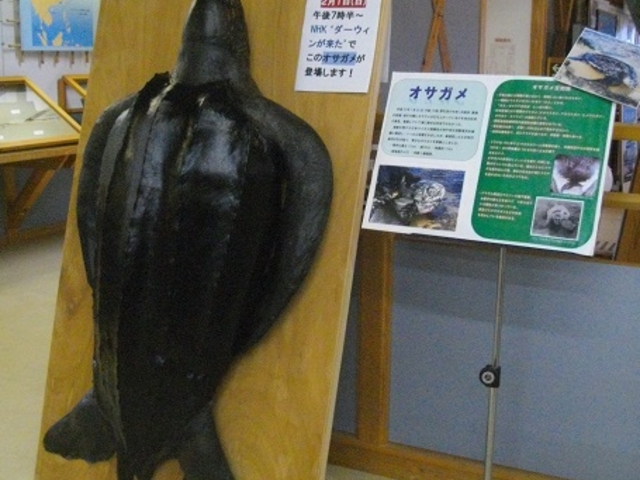 琴引浜鳴き砂文化館