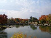 あがたの森の紅葉の写真1