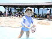 磯体験施設 海ほおずきの写真2