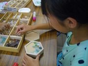 琴引浜鳴き砂文化館の写真4