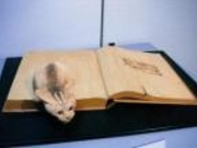 木彫展示館の写真2