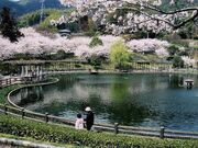 府中公園の写真1